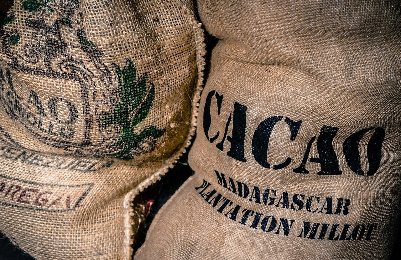 Cacao