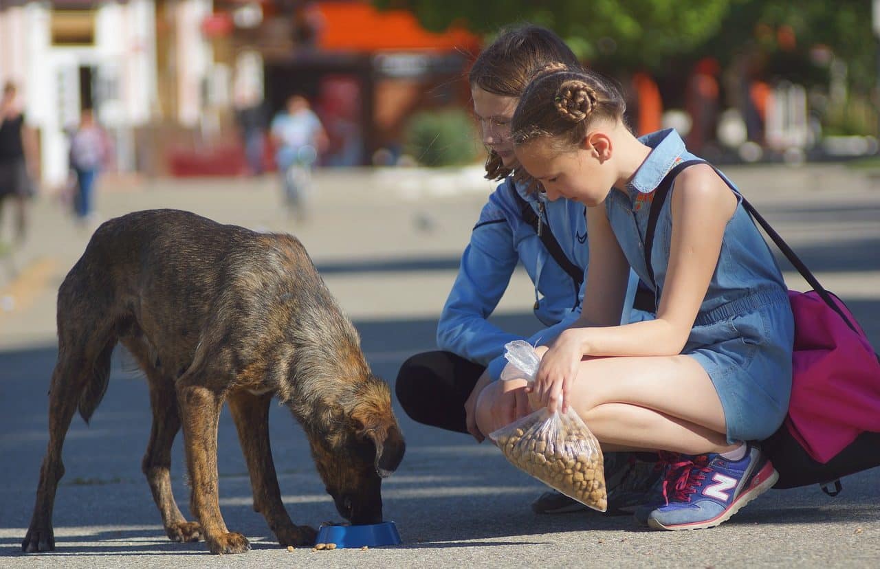 Dos mujeres dando de comer a un perro callejero