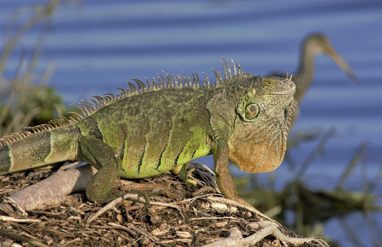 Medioambiente