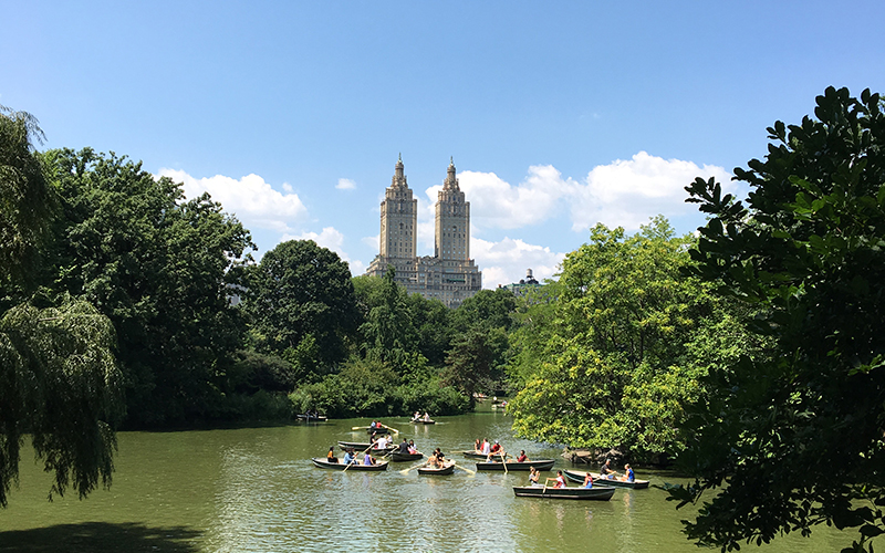 New York Central Park - Destination Deluxe