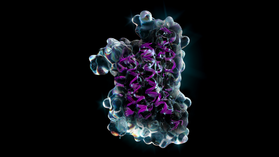 A protein structure illustration.