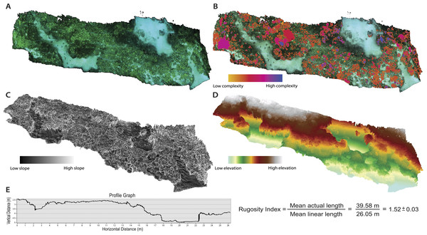 Orthophotos and digital elevation models (DEMs) produced with SfM photogrammetry techniques.