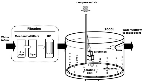 Diagram of the water supply system.