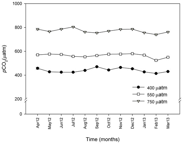 Monthly pCO2 values (μatm) during 11 months for control (∼400 μatm), 550 and 750 μatm pCO2 conditions.