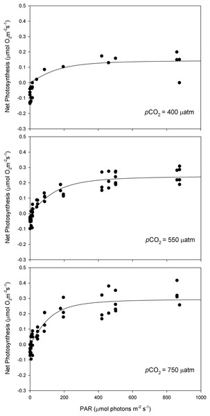 Light response curves of oxygen evolution with CO2.