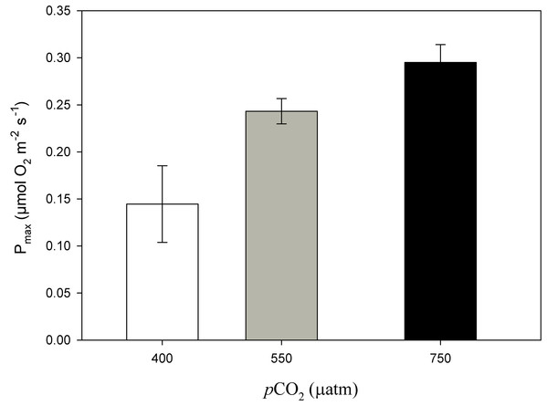 Maximum photosynthesis of Phymatolithon lusitanicum after 11 months at different CO2 levels.