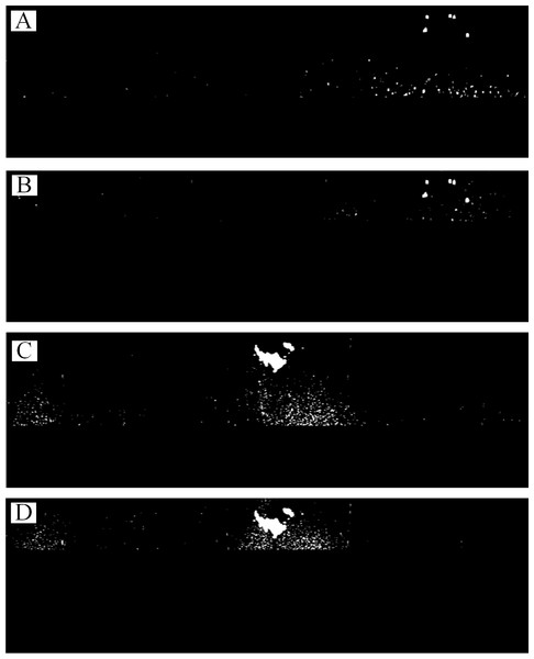 Rough bright targets extraction of Figs. 2B and 2C by Method 2.