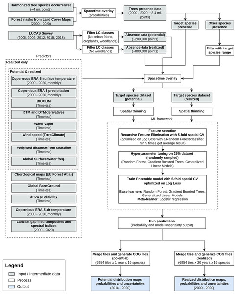 General workflow illustrating the preparation of the point data, the predictor variables used, model building (feature selection—hyperparameter optimization—training) and preparation of distribution maps for one species.