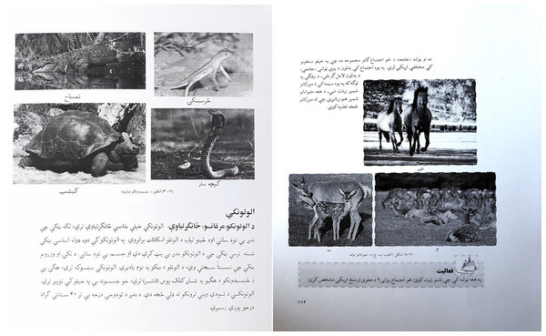 Pashto document images containing pashto text and graphics.