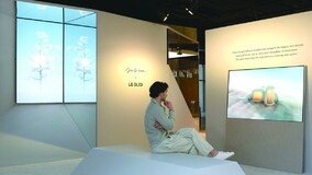 [Tech&]작품, LG 올레드 TV로 다시 만나다