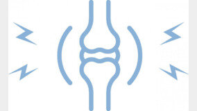 허리는 뻣뻣, 무릎은 욱신… 통증 방치하면 연골 건강도 닳는다