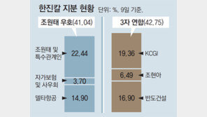 [단독]2차 지분전쟁 조원태-3자연합 “자금 든든한 백기사 없소?”