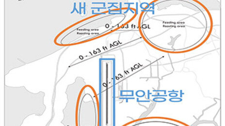 ‘비행기-새’ 충돌 무안이 최다…‘버드 스트라이크’란