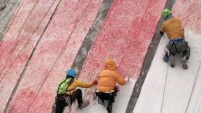 ‘돌 vs 밤’ 맞붙은 두 여성 작가… 그 끝엔 ‘공존과 희망’