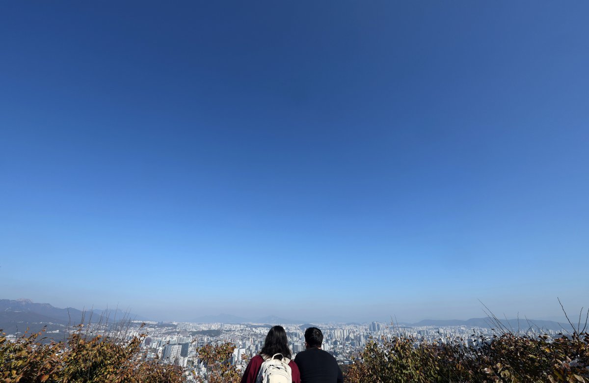 전국이 대체로 맑은 날씨를 보인 8일 서울 남산에서 바라본 하늘이 파랗다. 2024.11.08 뉴시스