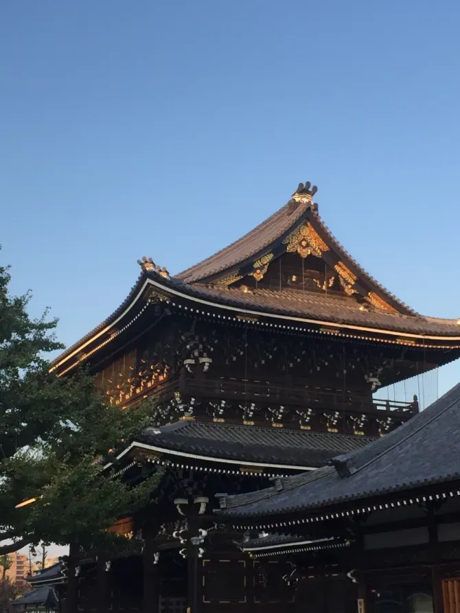 kyoto temple - shimohonnjimaech