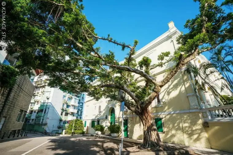 Travel to Macau - Chapel of Our Lady of Penha