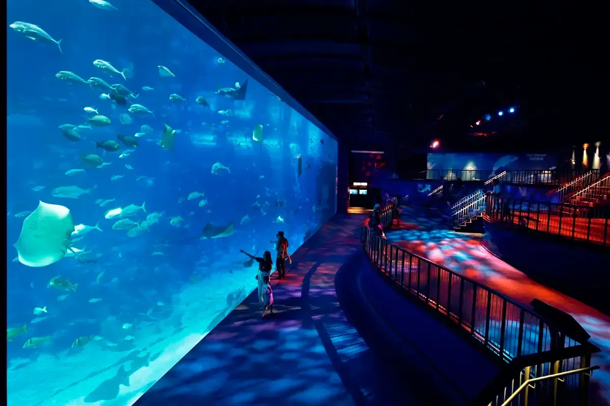 14. Visit S.E.A. Aquarium for underwater Christmas day