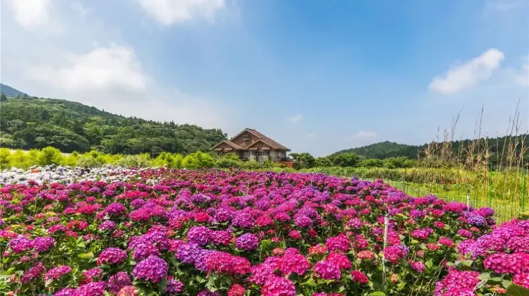 台北旅行はひとり旅こそおもしろい！