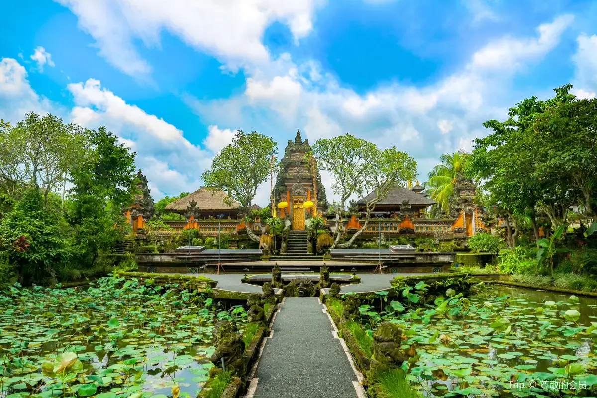 Rekomendasi Tempat Wisata Dekat Bali Swing Ubud