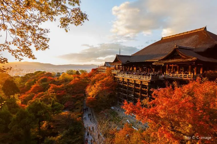 Best Attractions in Kyoto in November