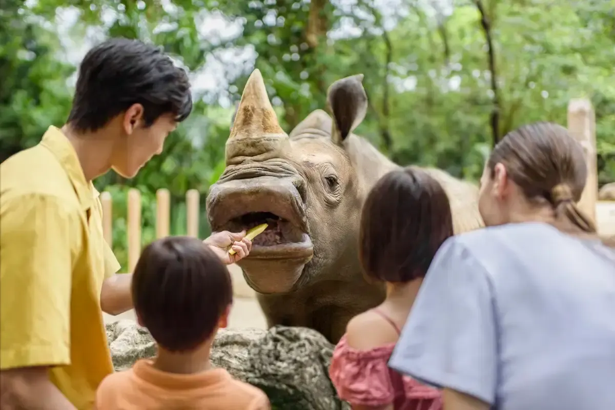 シンガポール動物園の人気レストラン3選