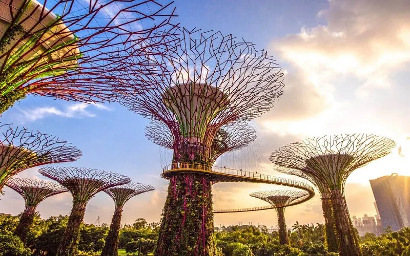 Gardens by the Bay of Singapore