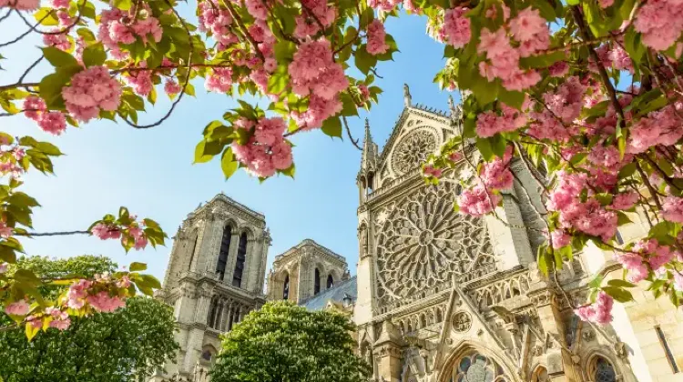 Things to do in Paris #12: Cathédrale Notre-Dame de Paris