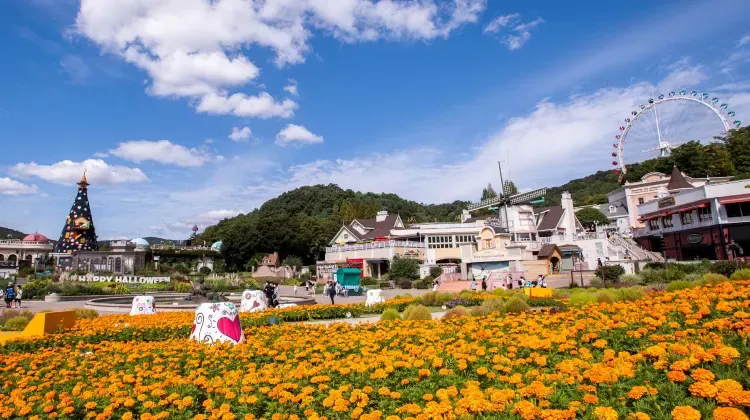 韓国の遊園地でよくある質問