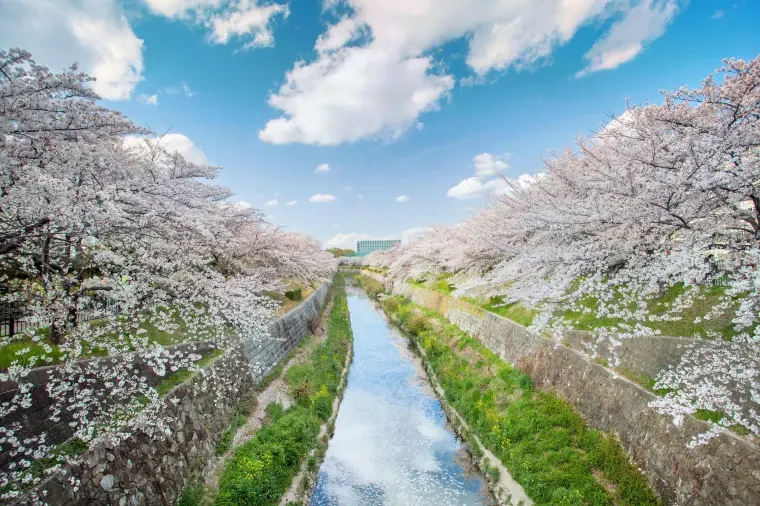 お土産選びで名古屋旅行はもっと楽しくなる！