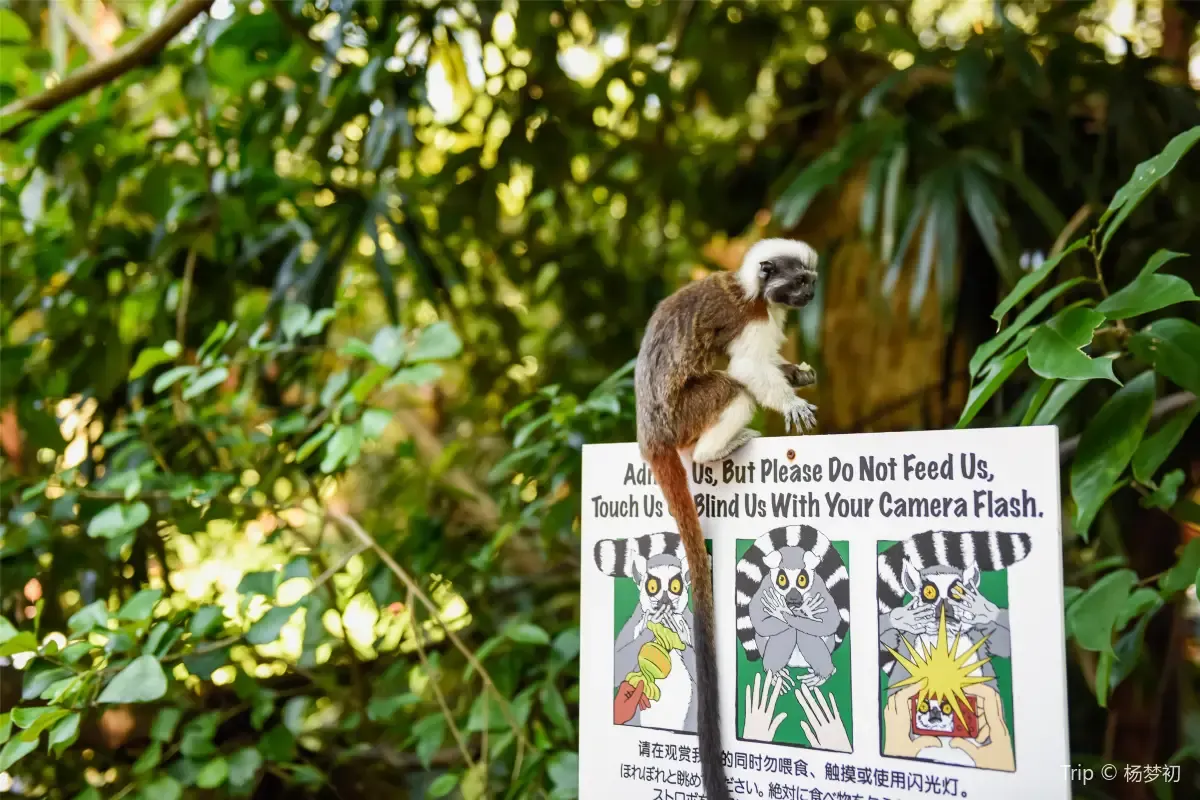 シンガポール動物園の地図