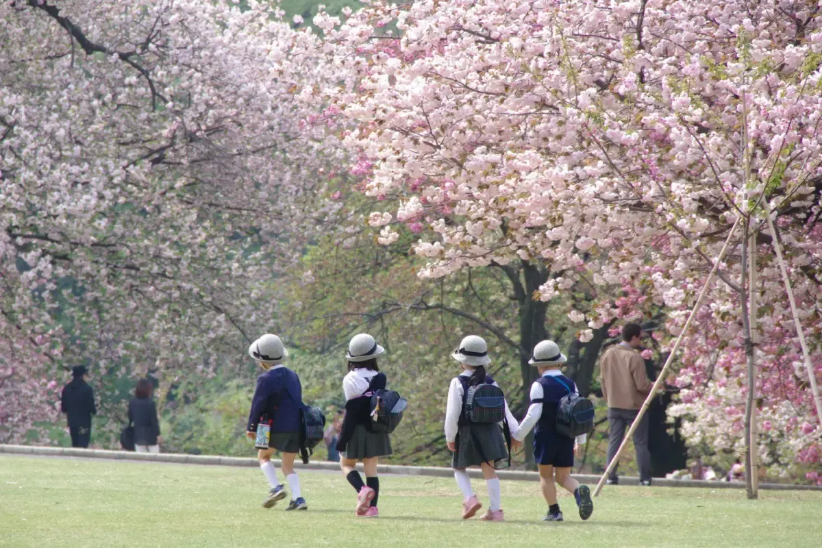 Shinjuku Gyoen in Tokyo