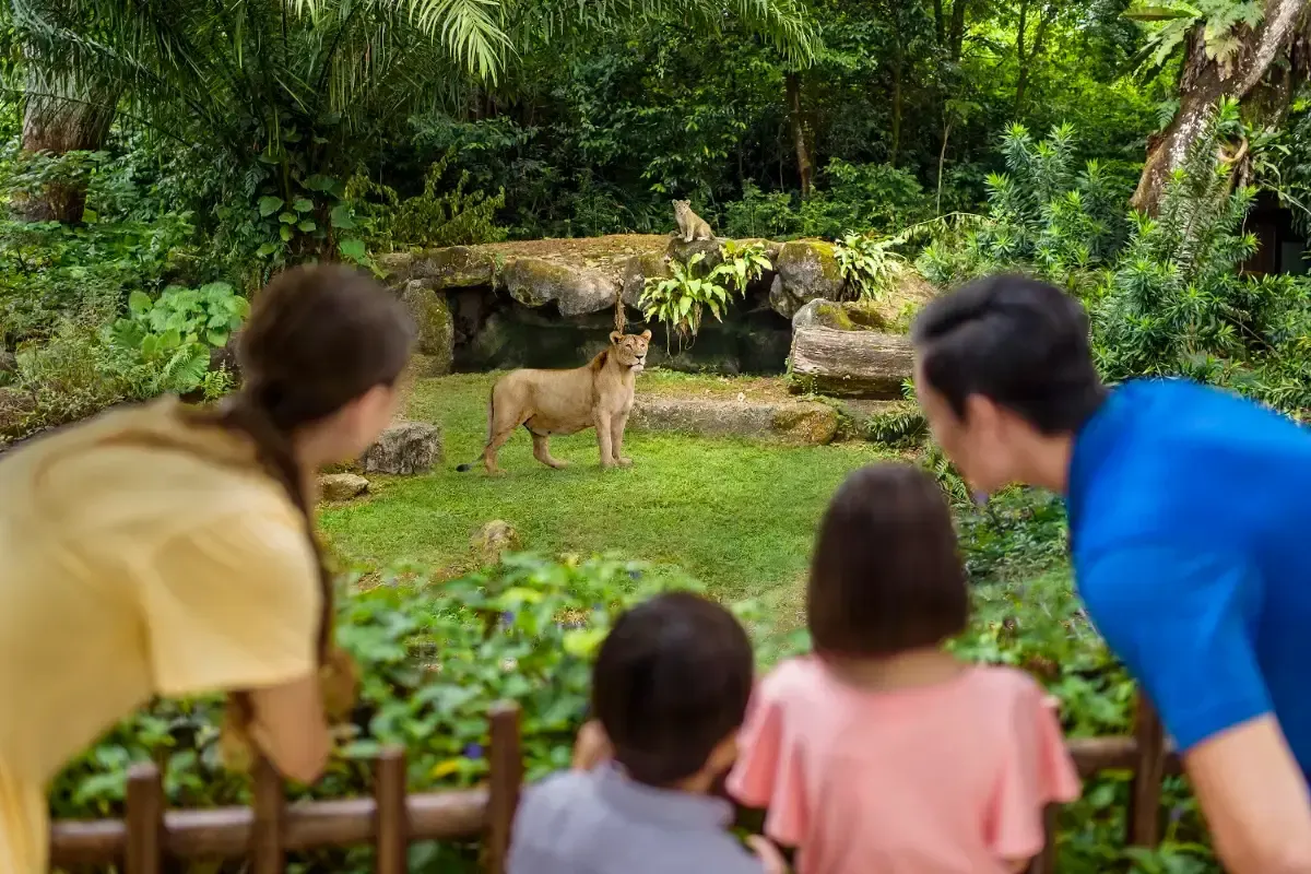 シンガポール動物園の年間パスポート