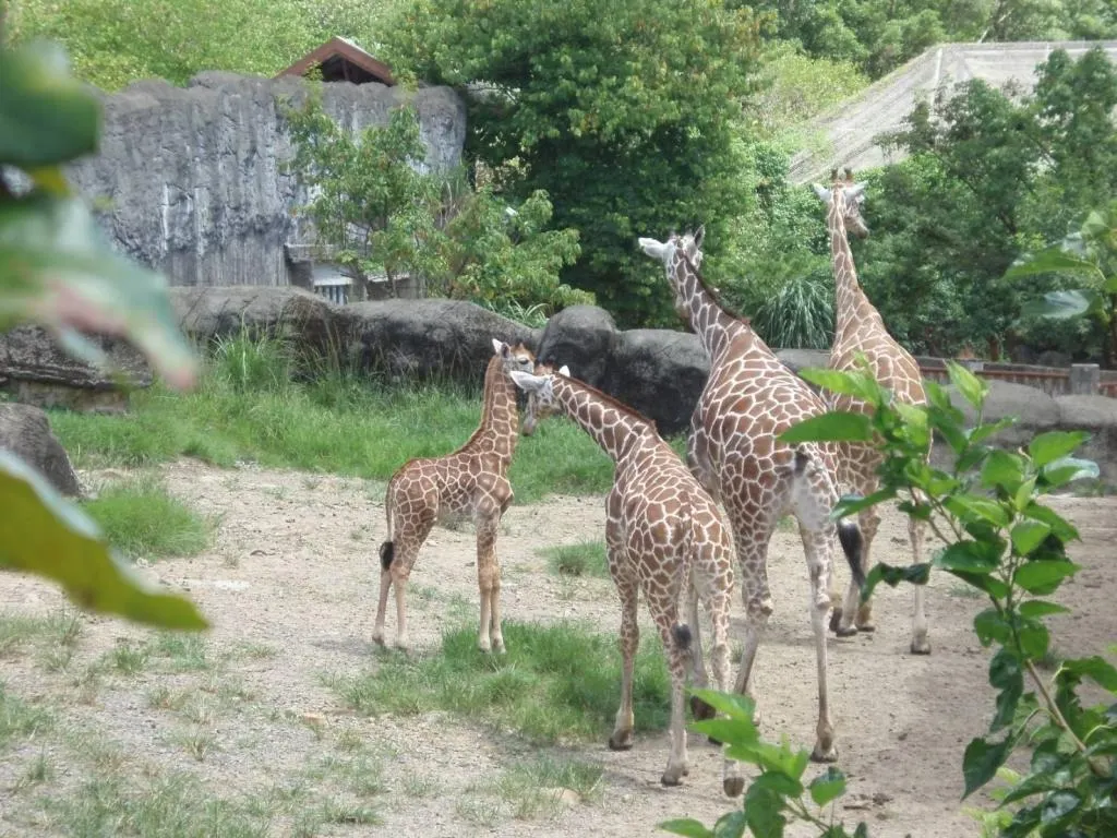 台北市立動物園