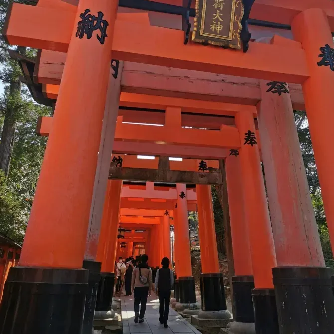 kyoto temple - Fushimi Inari Taisha