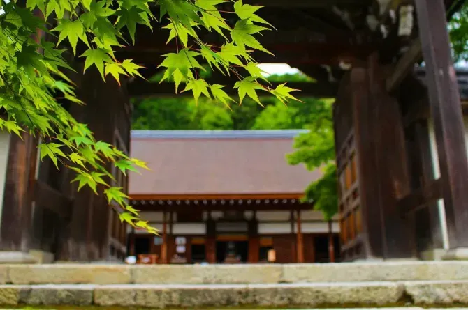 kyoto temple - The beautiful Toji Temple