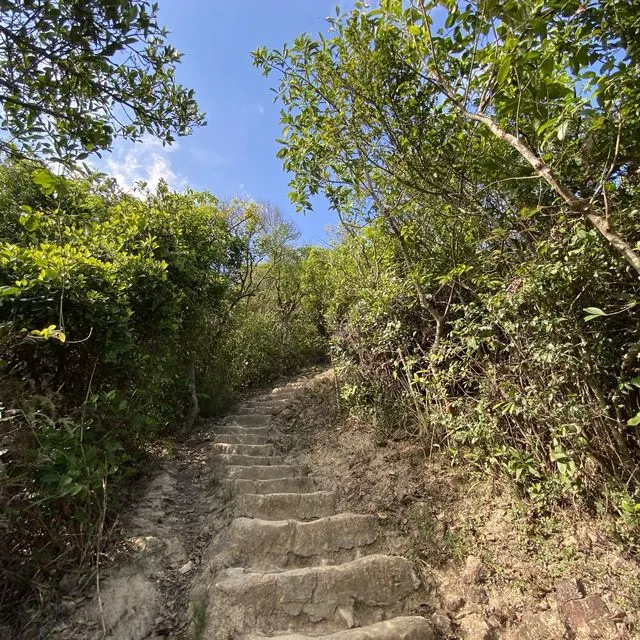 龍蝦灣郊遊徑行山