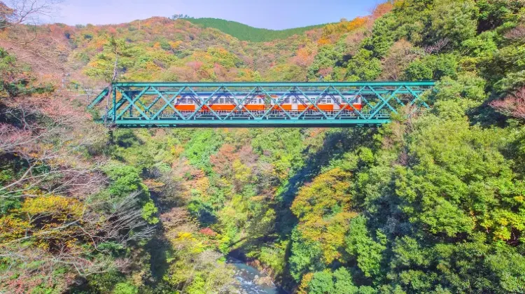 箱根のお土産選びで気を付けたい3つのこと