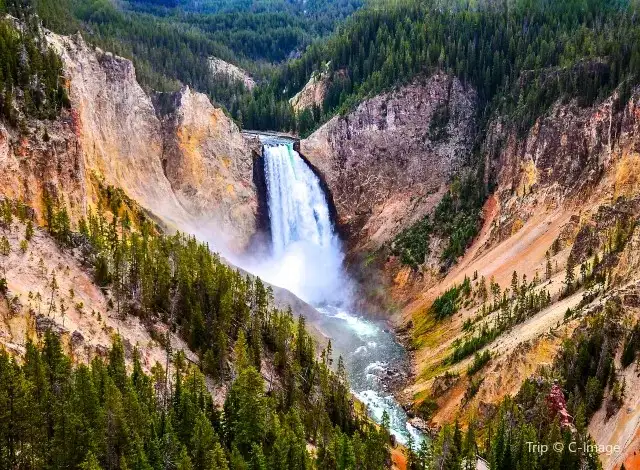 Fun Places for Kids- Yellowstone National Park