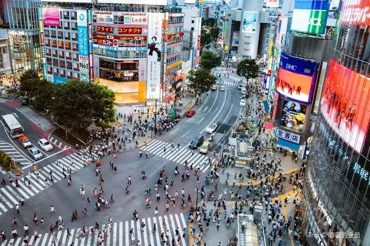 東京澀谷十字街頭