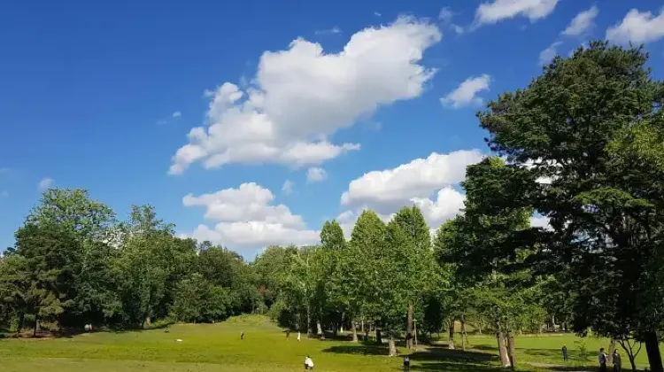 韓国のテーマパーク｜ソウルオリニ大公園