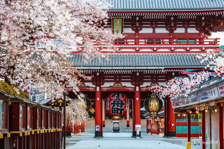 東京淺草寺