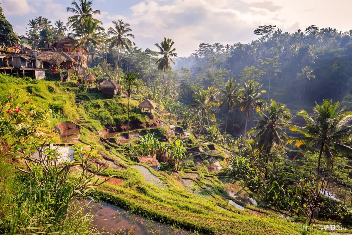 Rekomendasi Tempat Wisata Dekat Bali Swing Ubud