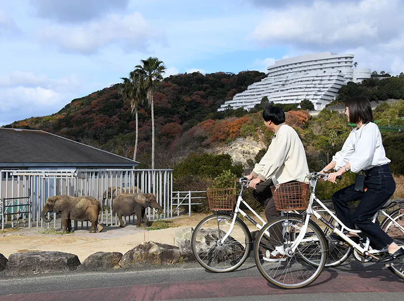 Animal exhibits at Adventure World Japan