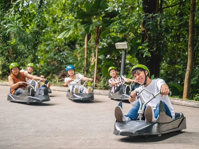 Apa itu Skyline Luge Singapura？