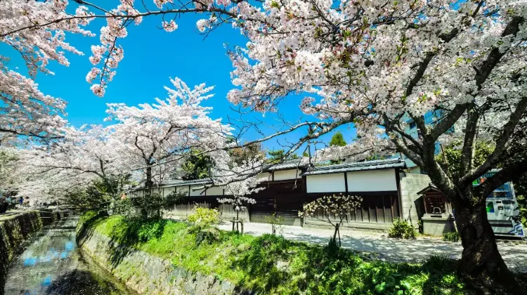 ひとり旅で京都に行ったらやりたい5つのこと