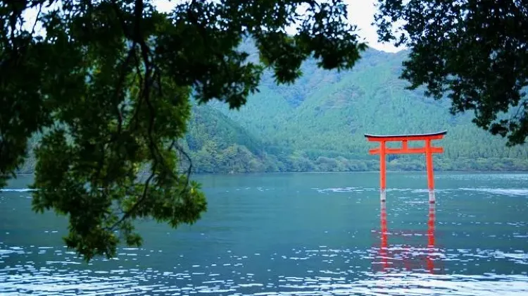 お土産選びで箱根旅行はもっと楽しくなる！