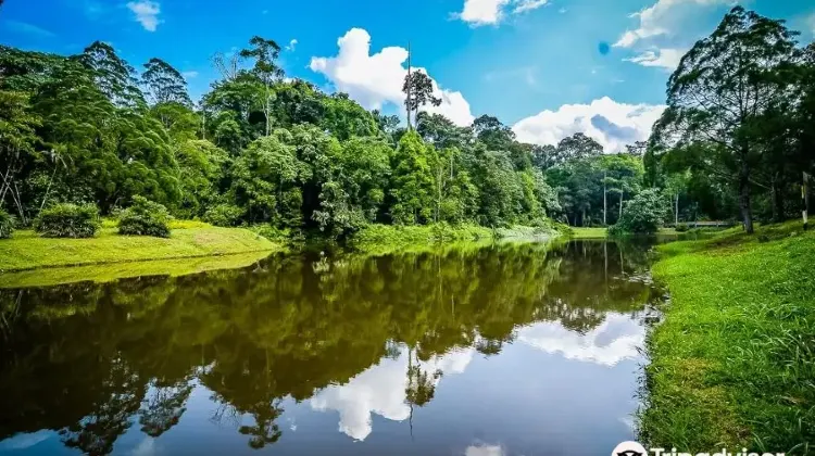 Taman Negara National Park