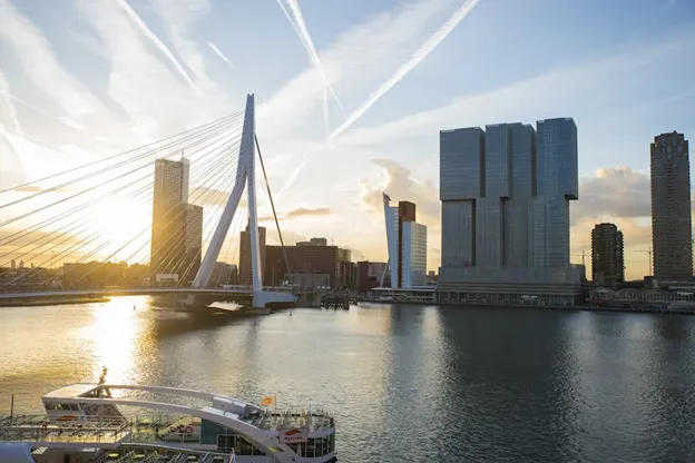 Il Ponte Erasmus a Rotterdam