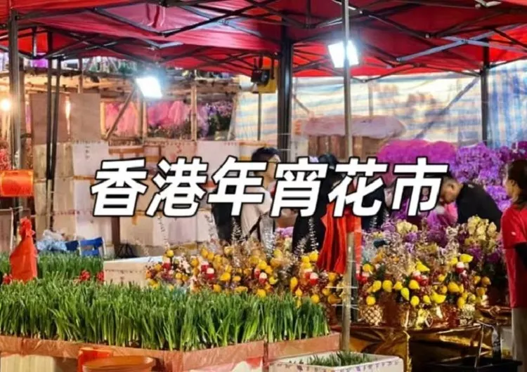 【2025香港新年花市】2月4日持續至10日，香港年宵花市全攻略|15大市場開放時間與地址一覽